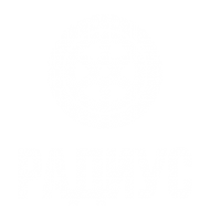 Логотип компании РАДИУС