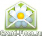 Логотип компании Доставка цветов Гранд Флора (ф-л г. Аксай)